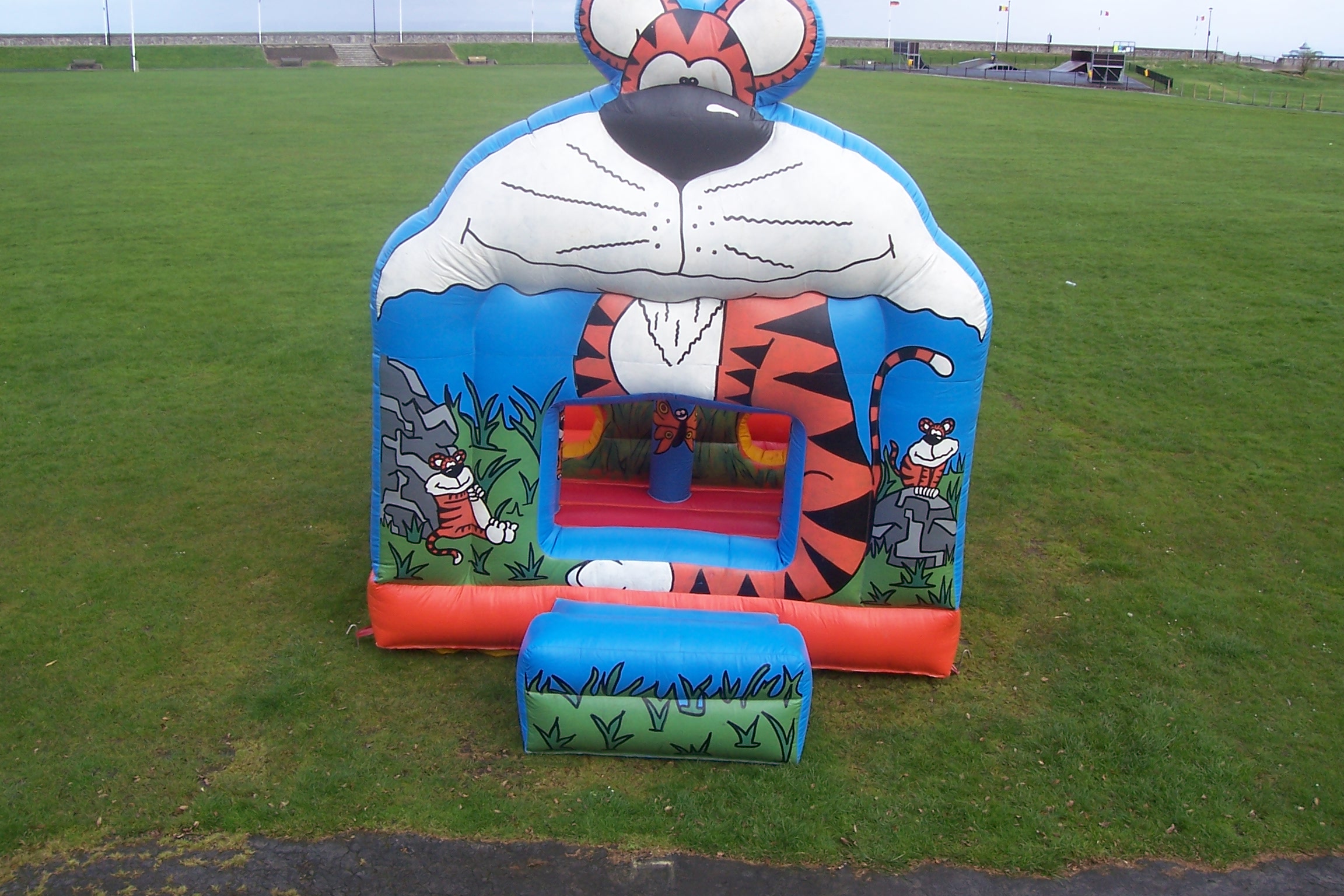 Our Tiger Ball Pit is a smaller bouncy castle similar to our Jungle Activity. With obstacles and tunnels to climb through and a ball pit to play in, the younger ones are sure to enjoy bouncing for hours!  Suitable for children up to 8 years.